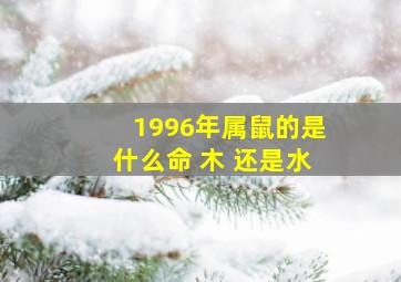 1996年属鼠的是什么命 木 还是水